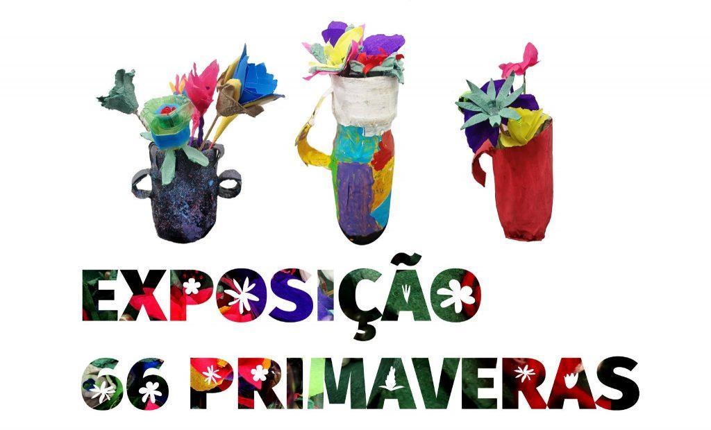 Visitação Especial