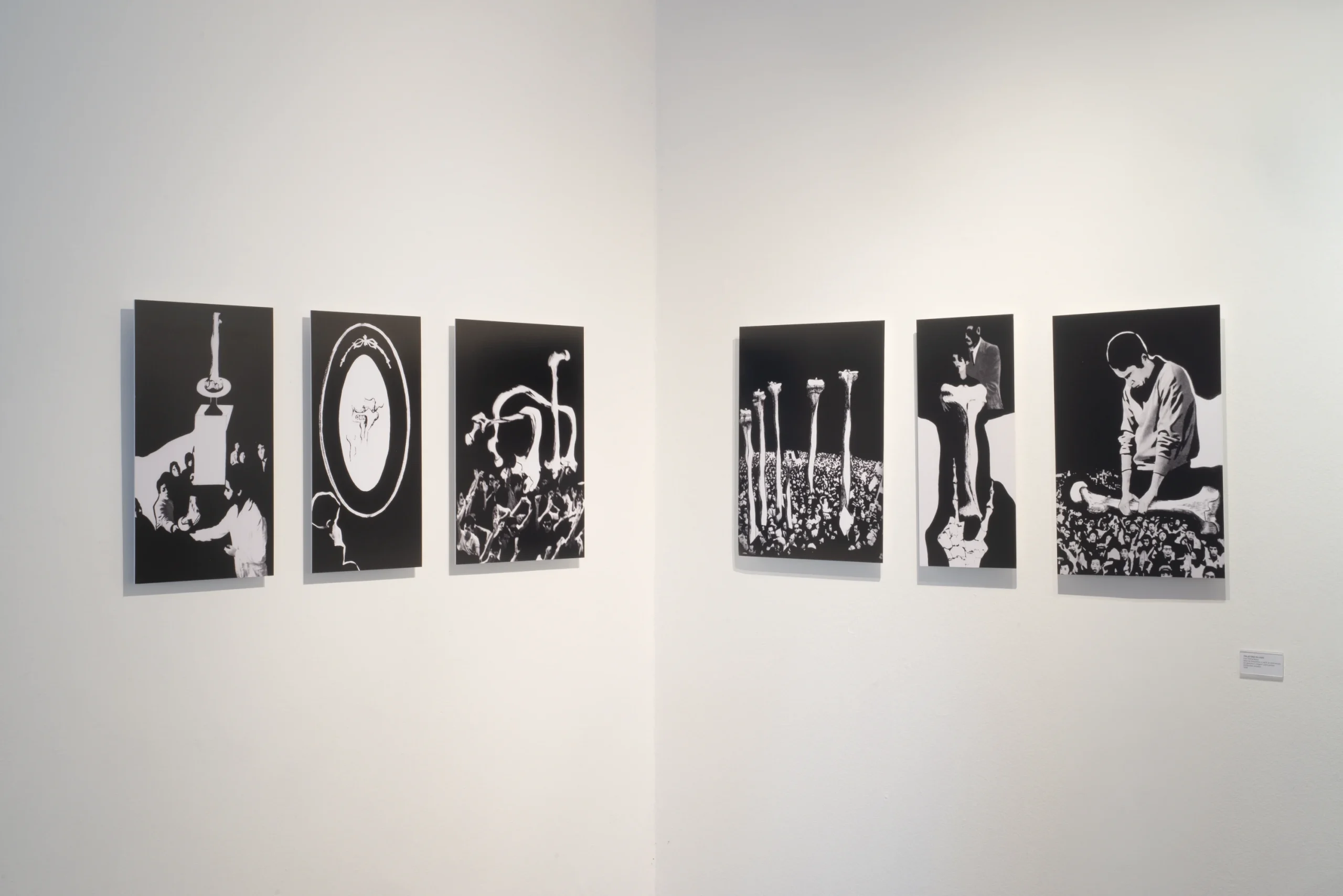 Exposição Esqueleto: Algo de Concreto
