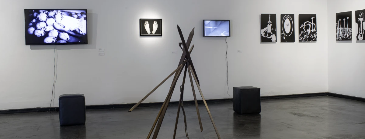 Exposição "Esqueleto" na Galeria Portinari